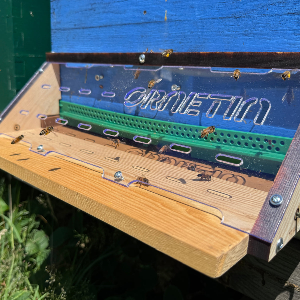 Protect Your Hives: Essential Asian Hornet Trap Guide